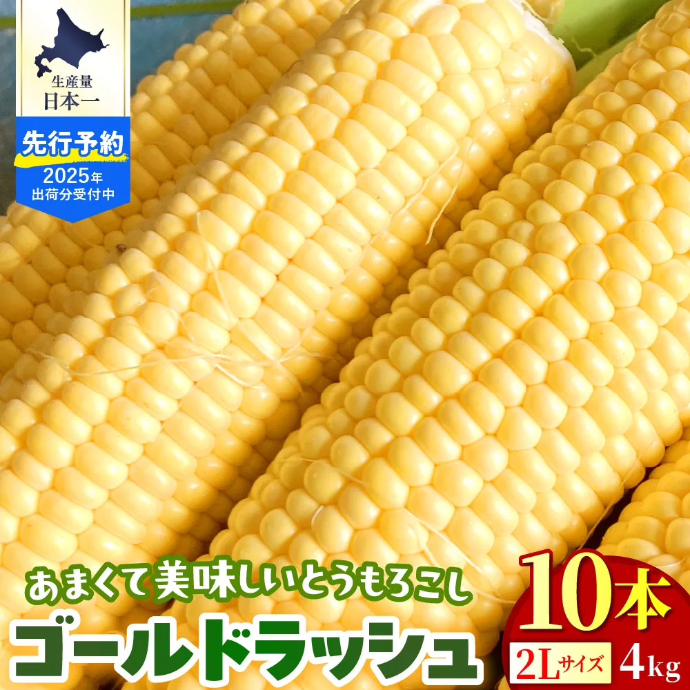 【2025年分先行予約】北海道十勝芽室町 とうもろこし ゴールドラッシュ 2Lサイズ 10本セット me078-003c-25