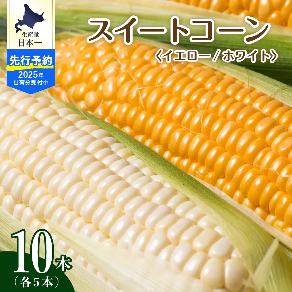 【先行予約】【2025年産】北海道十勝芽室町 とうもろこし イエロー種5本 ホワイト種5本 me002-008c-25