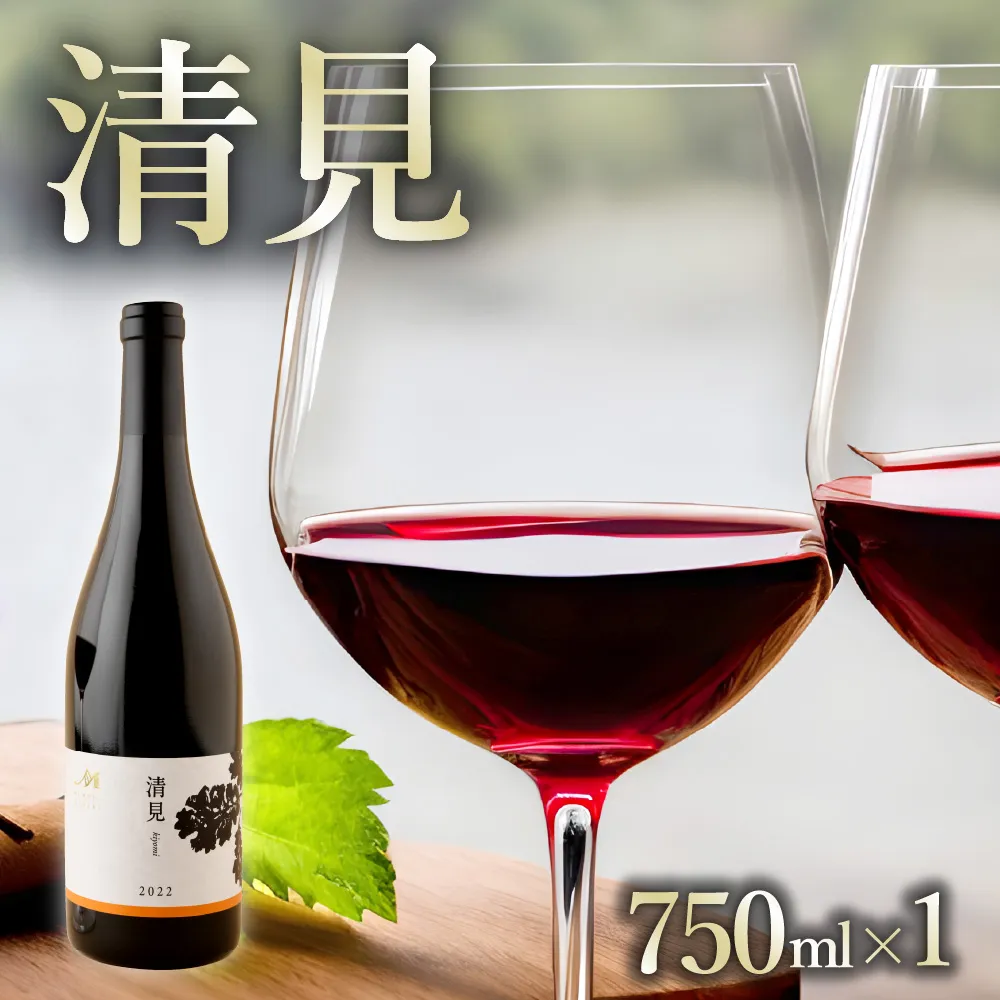 北海道十勝芽室町 赤ワイン：清見 750ml×1本(箱入) me032-044c