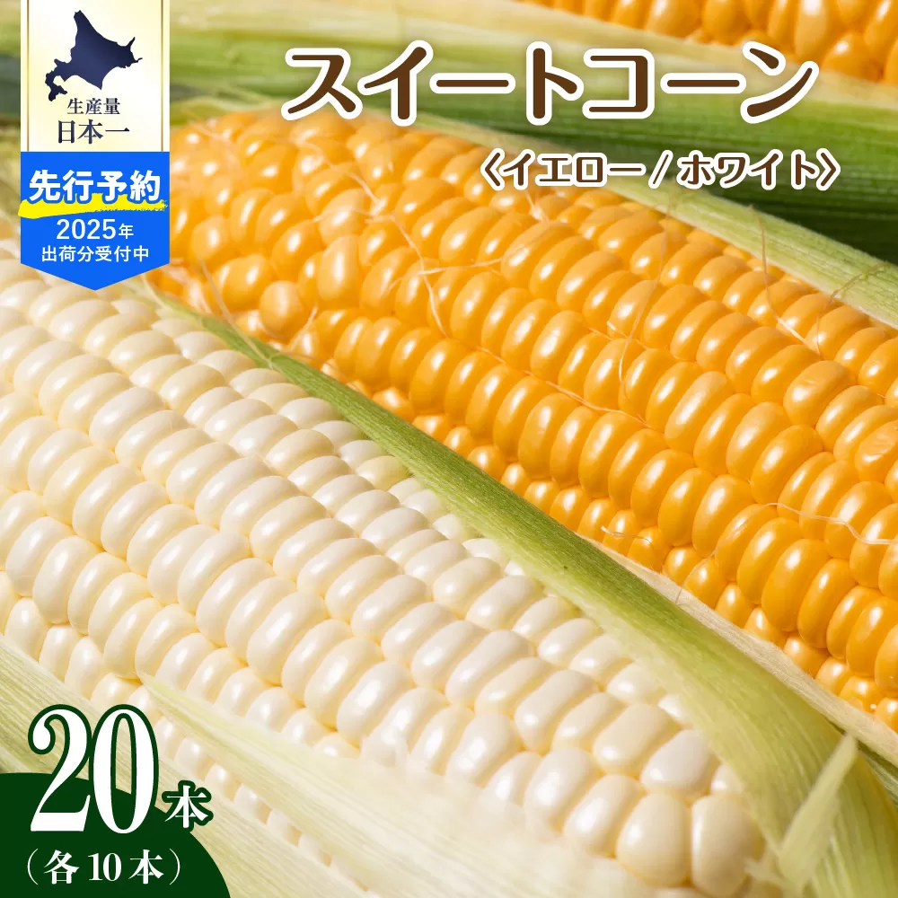 【先行予約】【2025年産】北海道十勝芽室町 とうもろこし イエロー種10本 ホワイト種10本 me002-016c-25