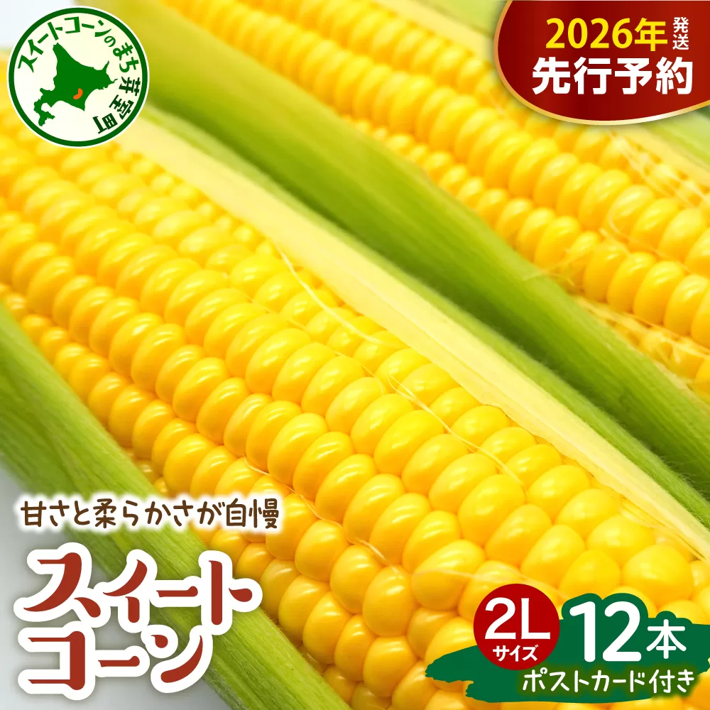 【先行受付】【2026年7月下旬～8月下旬頃配送】北海道十勝芽室町 上美生のたからばこ とうもろこしゴールドラッシュ ２Lサイズ以上12本ポストカード セット me029-001c-26