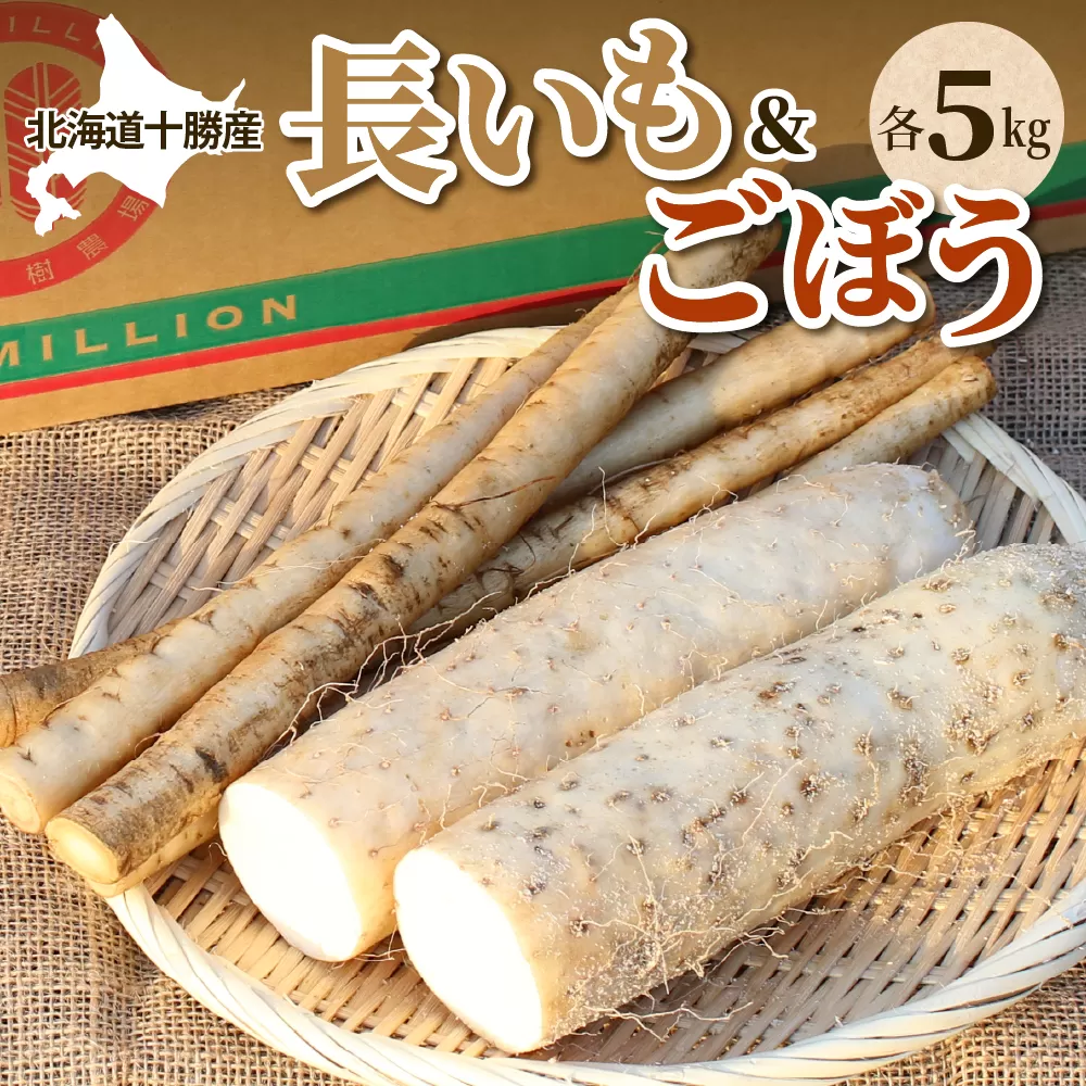 北海道十勝芽室町 ファーム・ミリオンの長芋ごぼうセット 10kg me016-014c