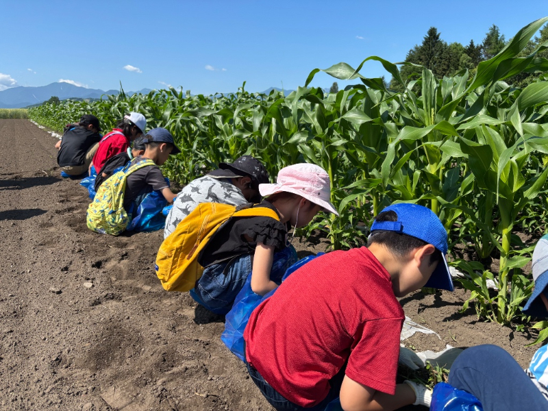（１）農業・商工業の振興に関する事業