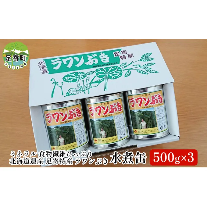 ラワンぶき水煮缶（500g×3缶）×1箱 北海道十勝足寄町