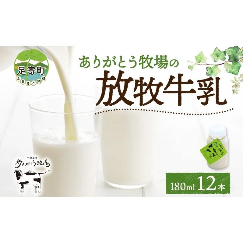 北海道 放牧牛乳 180ml×12本 牛乳 生乳 ミルク 濃厚 さっぱり まろやか 酪農 放牧 国産 無農薬 化学肥料不使用 道産飲料100% 健康 朝食 冷蔵 ありがとう牧場 送料無料