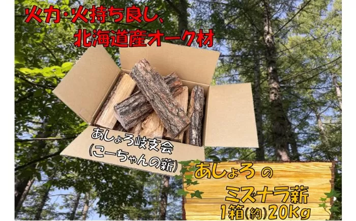 あしょろのミズナラ薪 約20kg《足寄町》【合同会社tetote】北海道産 ミズナラ 乾燥薪 まき 薪ストーブ マキ 木材 キャンプ 焚火 燃料 北海道 国産 アウトドア ナラ薪 ソロキャンプ [BEBD001]