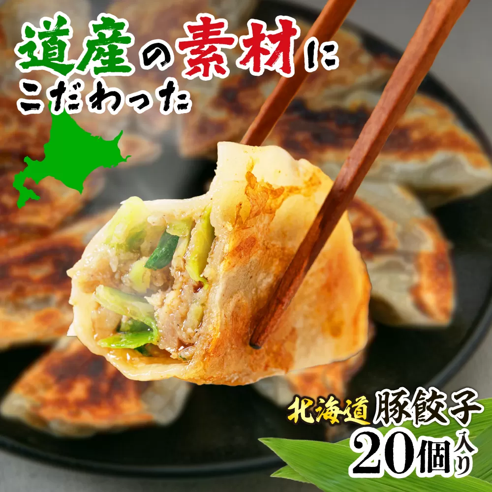 熊笹餃子 雫包(しずづつみ) 20個《足寄町》【株式会社北のささ】中華 ぎょうざ ギョーザ 冷凍餃子 焼餃子 おかず おつまみ 惣菜 天心 お取り寄せ 肉汁 国産 ギフト 冷凍食品 クマザサエキス配合 ささ塩配合 あしょろ 北海道 [BEAR014]