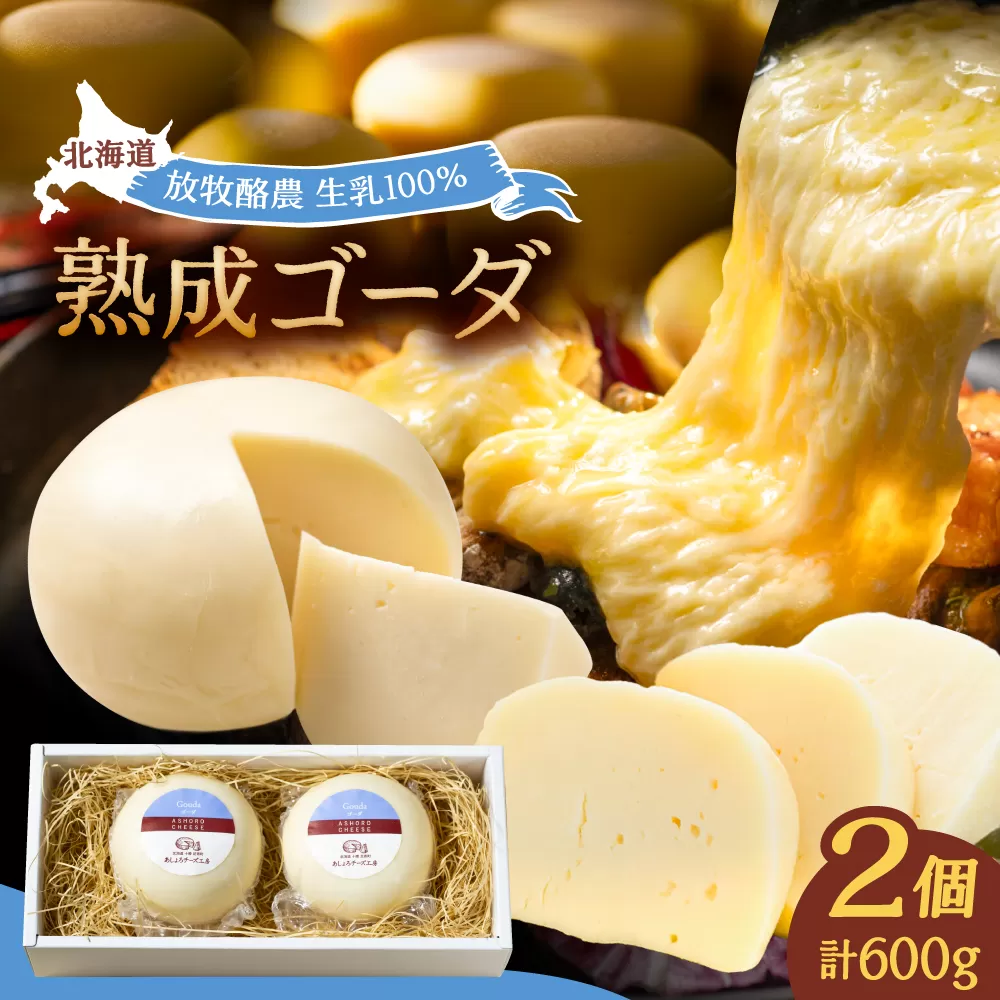 北海道 ゴーダチーズ 300g×2個[足寄町][合同会社あしょろチーズ工房] 北海道産 十勝チーズ セミハードチーズ ゴーダ 乳製品 生乳 加工品 おつまみ もちもち 冷蔵 十勝 あしょろ [BEAU001]