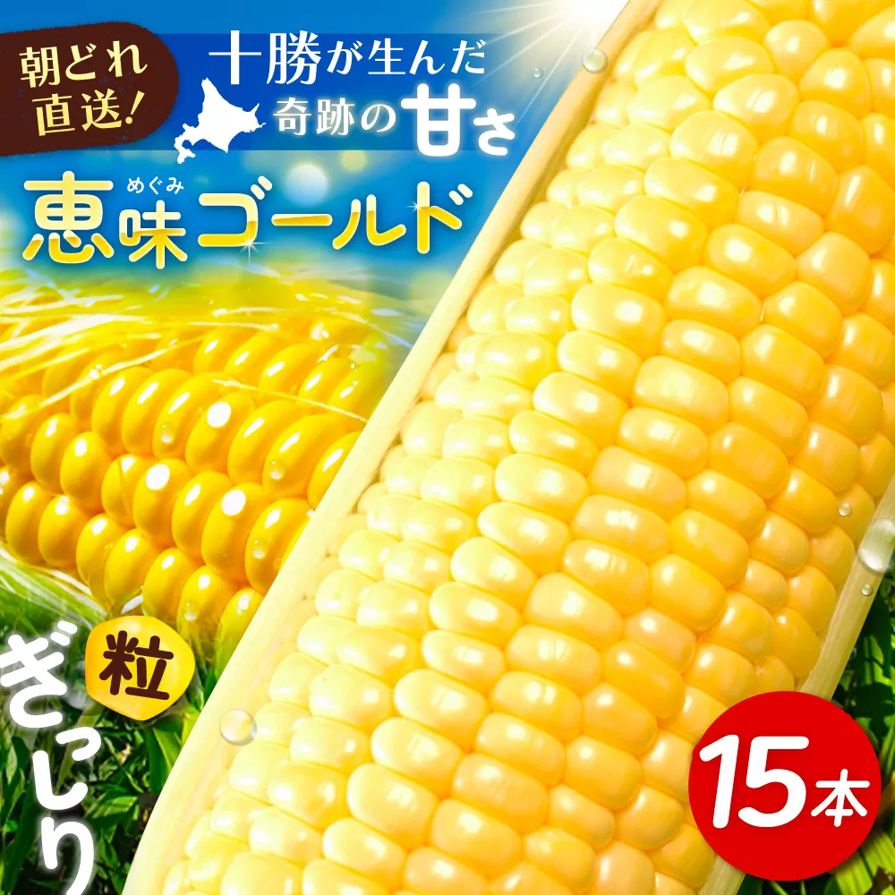 北海道 朝もぎ とうもろこし 15本（恵味ゴールド）《足寄町》【党崎農場】トウモロコシ とうもろこし 甘い 野菜 採れたて野菜 新鮮 農家 おすすめ 北海道土産 ゴールド gold 北海道産 あしょろ 北海道 [BEAA004]