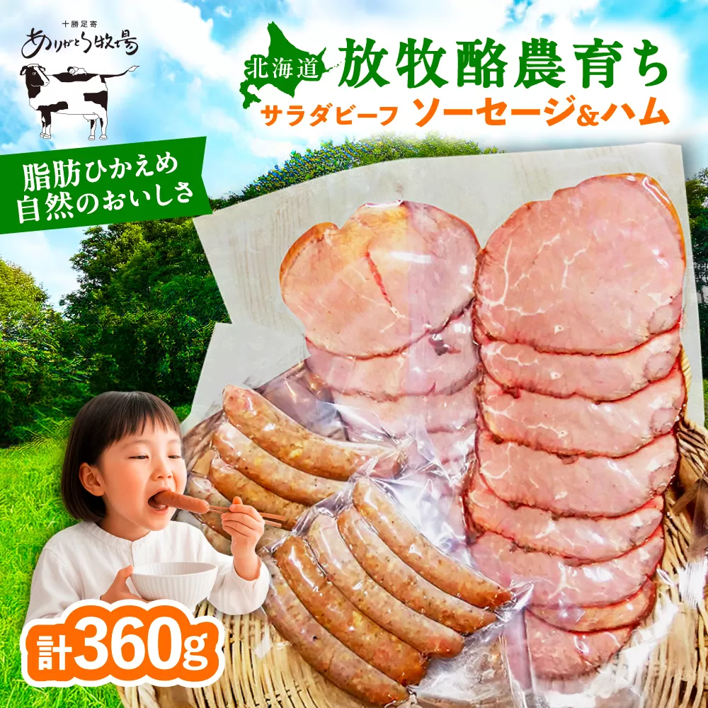 サラダビーフ ソーセージ&ハムセット(ソーセージ100g×2袋・ボンレスハム80g×2袋)[足寄町][ありがとう牧場]ソーセージ ハム 牛肉 ビーフ 肉 ミート 牛 焼肉 牛丼 カレー ギフト 北海道産 あしょろ 北海道 [BEAH007]