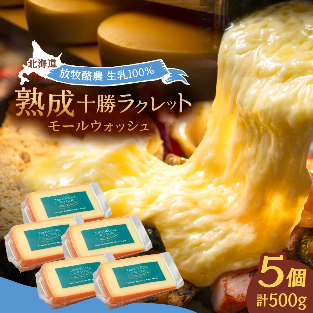 北海道 十勝ラクレット モールウォッシュ 100g×5個[足寄町][合同会社あしょろチーズ工房] 北海道産 十勝チーズ ラクレット 温泉水 乳製品 生乳 加工品 濃厚 冷蔵 十勝 あしょろ [BEAU004]