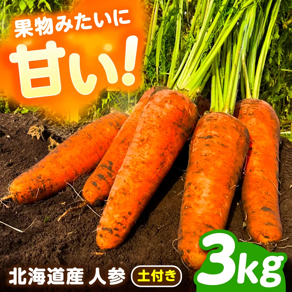 北海道 にんじん 3kg（土付き）《足寄町》【餌取農場】 北海道産 甘い 人参 野菜 根菜 ニンジン 3kg 道産 キャロット 糖度高め サラダ ジュース 生鮮野北海道産 菜 あしょろ 足寄 [BEBA002]