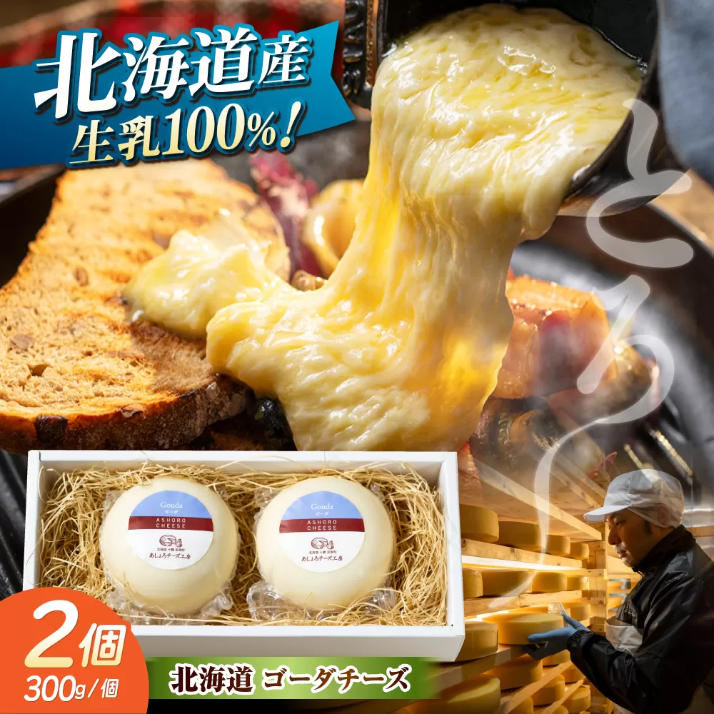 北海道 ゴーダチーズ 300g×2個《足寄町》【合同会社あしょろチーズ工房】 北海道産 十勝チーズ セミハードチーズ ゴーダ 乳製品 生乳 加工品 おつまみ もちもち 冷蔵 十勝 あしょろ [BEAU001]