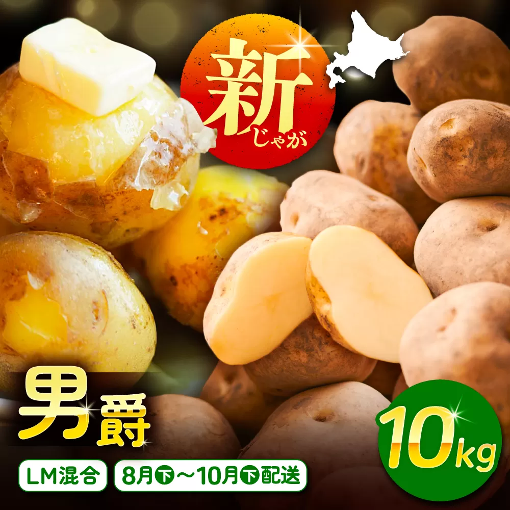 北海道産 じゃがいも 男爵 10kg（LM混合）《足寄町》【党崎農場】ジャガイモ じゃがいも 食べ比べ 国産 野菜 ポテト 芋 イモ いも 男爵 あしょろ 北海道 [BEAA006]