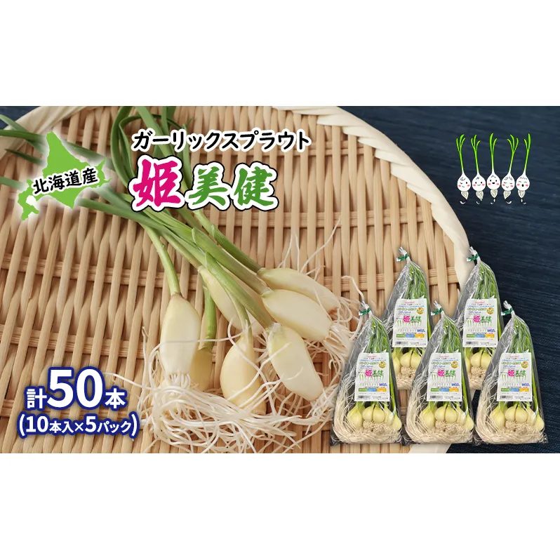 発芽にんにく 北海道産 ガーリックスプラウト姫美健 計50本 (10本入×5パック) にんにく ガーリック 野菜 健康 