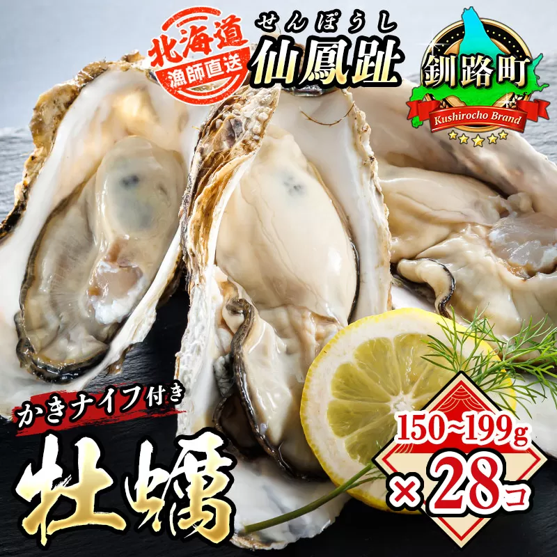 北海道 仙鳳趾名産 牡蠣 150g～199g×28コ＋かきナイフ付き かき漁師直送K4-4 【センポウシ : 釧路町の東 厚岸湾の西 カキの名産地】 仙鳳趾 せんぽうし 牡蠣 生食用 殻付き 生牡蠣 絶品 産地直送 殻付き牡蠣 北海道 釧路町 釧路超 特産品