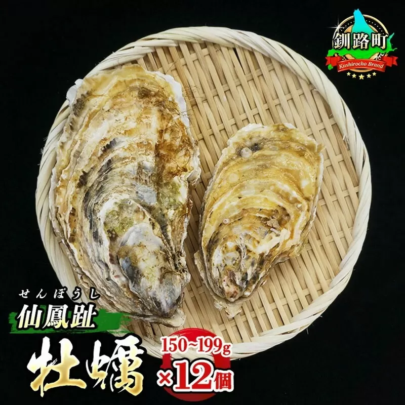 ＼先行予約／北海道 仙鳳趾名産 牡蠣 150g〜199g×12コ+かきナイフ付き かき漁師直送 K3-3＜出荷時期：2025年7月1日ごろ～順次出荷＞＜センポウシ : 釧路町の東 厚岸湾の西 カキの名産地＞ | せんぽうし 牡蠣 生食用 殻付き