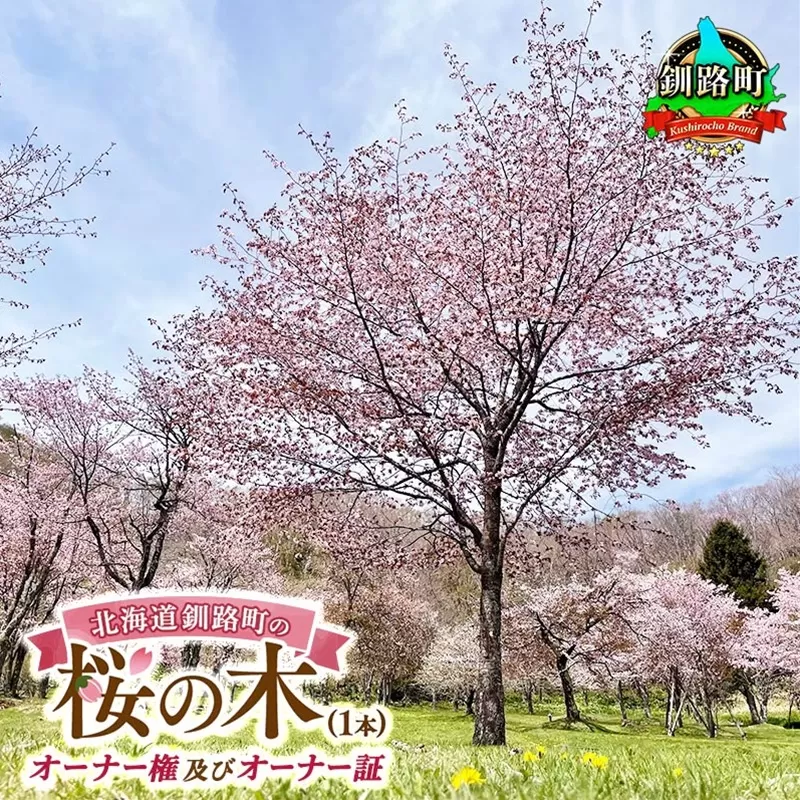 北海道釧路町の桜の木(1本)のオーナー権及びオーナー証＜植樹開催＆プレートお届け時期：2026年5月ごろ＞ | 北海道 釧路町 別保公園 桜の木 桜の苗 桜の苗木 桜 さくら 自然 保護 植樹体験 体験型 体験 体験型 北海道 先行予約 結婚 誕生 就職 退職 記念 想い出 北海道 釧路町 釧路超 特産品