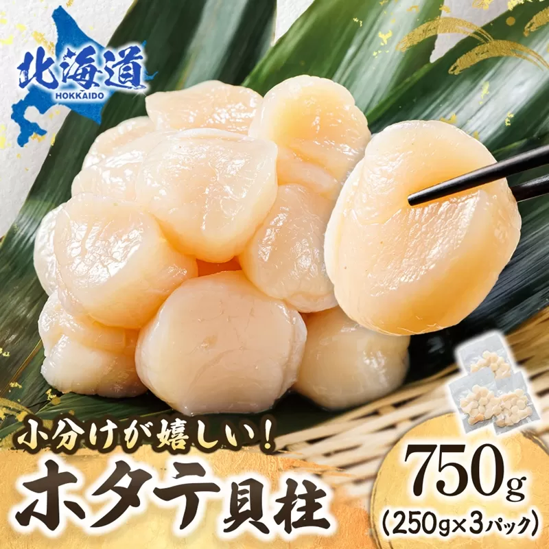 北海道産 ホタテ貝柱 （約250g×3コ 計750g） 【配送日時指定可能】 帆立 ほたて 貝柱 刺身 刺し身 ほたて刺身 刺身ホタテ 冷凍 小分け 配送月指定 配送月を選べる 配送時期 発送月が選べる 発送月 スピード発送 すぐ届く 魚介類 魚介人気 ヒロセ すぐ発送 北海道 釧路町 釧路超 特産品 br02