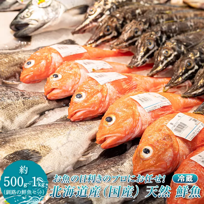 お魚の目利きのプロにお任せ！北海道産（国産） 天然 鮮魚 約500g～1kg（釧路の鮮魚セット）産地直送 冷蔵 冷蔵便 刺身 セット 鮮魚セット 鮮魚ボックス 北海道 釧路町 釧路超 特産品
