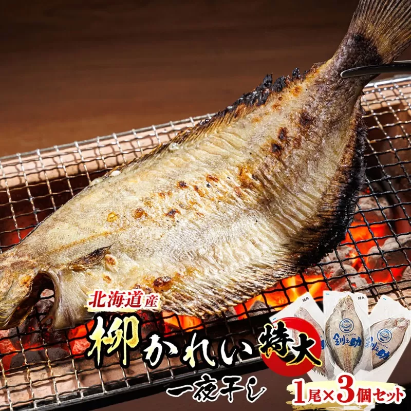 北海道産 特大 柳かれい 一夜干し 1尾×3個セット | おつまみ 焼魚 焼き魚 定食 魚 干物 セット ひもの 冷凍 人気の 訳あり！ スピード発送 北海道 釧路町 釧路超 特産品