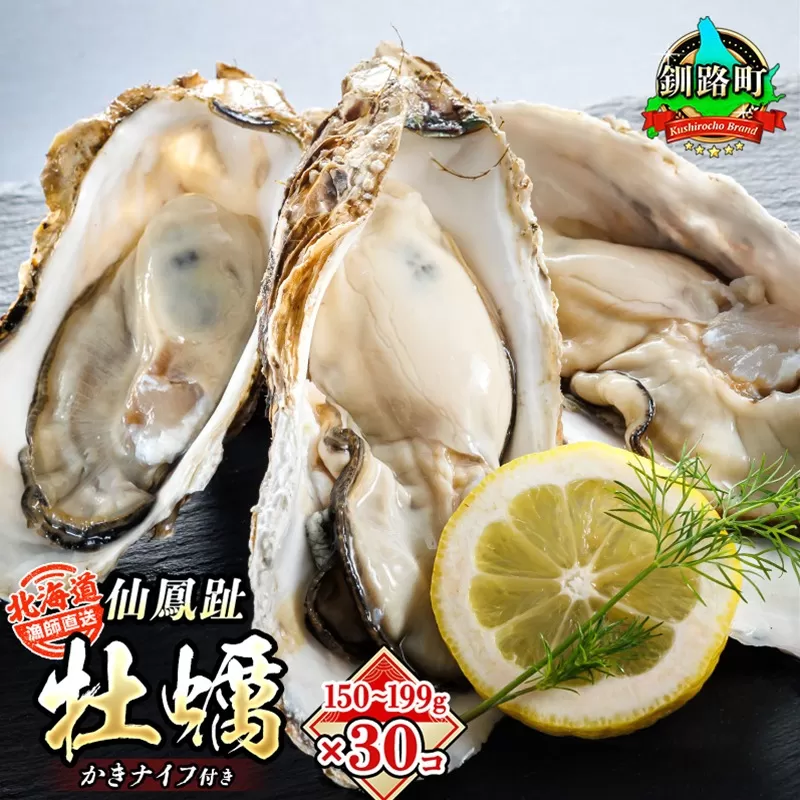 ＼先行予約／北海道 仙鳳趾名産 牡蠣 150g〜199g×30コ＋かきナイフ付き漁師直送K4-4＜出荷時期：2025年7月1日ごろ～順次出荷予定＞＜センポウシ : 釧路管内 釧路町の東 厚岸 湾の西 カキの名産＞ | せんぽうし 牡蠣 生食用 殻付き