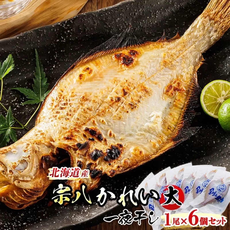 北海道産 宗八かれい(大) 1尾×6個セット | おつまみ 焼魚 焼き魚 定食 魚 干物 セット ひもの 冷凍 人気の 訳あり！ お手軽 簡単 大容量 弁当 おかず 冷凍 調理済み 絶品 スピード発送 北海道 釧路町 釧路超 特産品