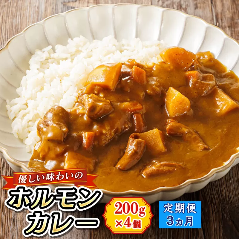 【定期便 3ヶ月】優しい味わいのホルモンカレー 200g×4個（箱） | ホルモン 野菜 昆布 だし ダシ レトルト カレー レトルトカレー おもいやり 食品 常温 備蓄 常備 保存食 避難食 防災食 送料無料 森谷食品 北海道 釧路町 釧路超