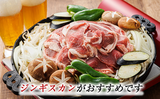味付け ラム肉 スライス 100g×10パック（合計1kg） 【発送時期が