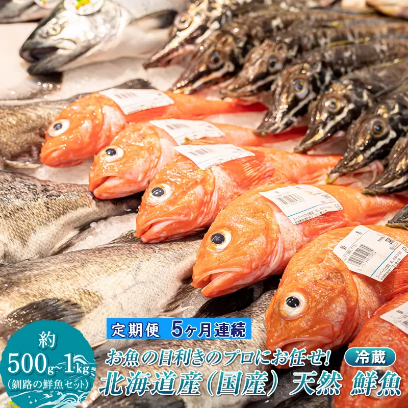 【定期便 5ケ月連続】 お魚の目利きのプロにお任せ！北海道産（国産） 天然 鮮魚 約500g〜1kg（釧路の鮮魚セット） 産地直送 冷蔵 冷蔵便 刺身 セット 鮮魚セット 鮮魚ボックス 定期便 魚介類 海鮮 絶品 人気 ヒロセ 北海道 釧路町 釧路超 特産品
