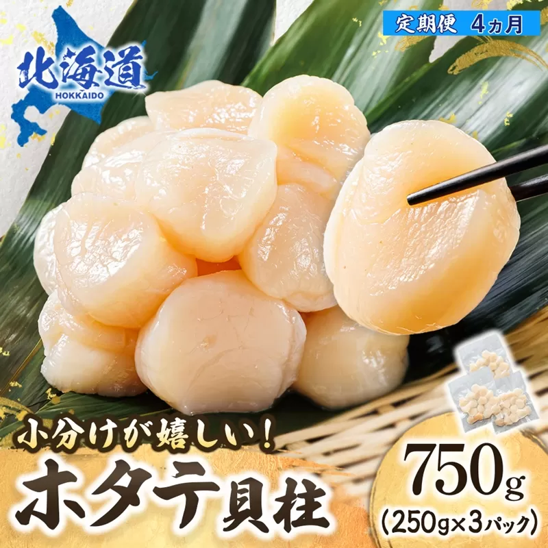 【定期便 4ヶ月連続】北海道産 ホタテ貝柱 （約250g×3コ 計750g） 帆立 ホタテ ほたて 貝柱 冷凍 刺身 刺し身 小分け ホタテ貝柱 刺身ホタテ 刺身 冷凍 セット 産地直送 魚介類 海鮮 絶品 人気 ヒロセ 定期便 4回 4か月 海鮮定期便 100000以上 10万円 10万ほど 北海道 釧路町 釧路超 特産品 br04