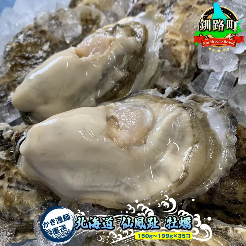 ＼先行予約／北海道 仙鳳趾産 牡蠣 150g〜199g×35コ＋かきナイフ付きかき漁師直送 K1-8＜出荷時期：2024年10月1日ごろ〜順次出荷予定＞＜センポウシ : 釧路町の東 厚岸湾の西 カキの名産地＞