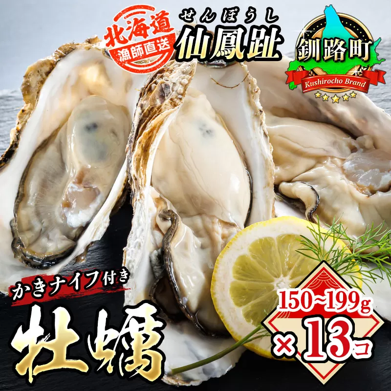 北海道 仙鳳趾名産 牡蠣 150g～199g×13コ＋かきナイフ付き かき漁師直送K4-3 【センポウシ : 釧路町の東 厚岸湾の西 カキの名産地】 仙鳳趾 せんぽうし 牡蠣 生食用 殻付き 生牡蠣 絶品 産地直送 殻付き牡蠣 北海道 釧路町 釧路超 特産品