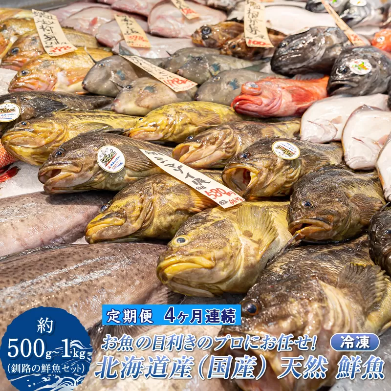 【定期便 4ケ月連続】 お魚の目利きのプロにお任せ！北海道産（国産） 天然 鮮魚 約500g〜1kg（釧路の鮮魚セット） 鮮魚 刺身 セット 産地直送 定期便 冷凍 冷凍便 魚介類 海鮮 絶品 人気 ヒロセ 北海道 釧路町 釧路超 特産品