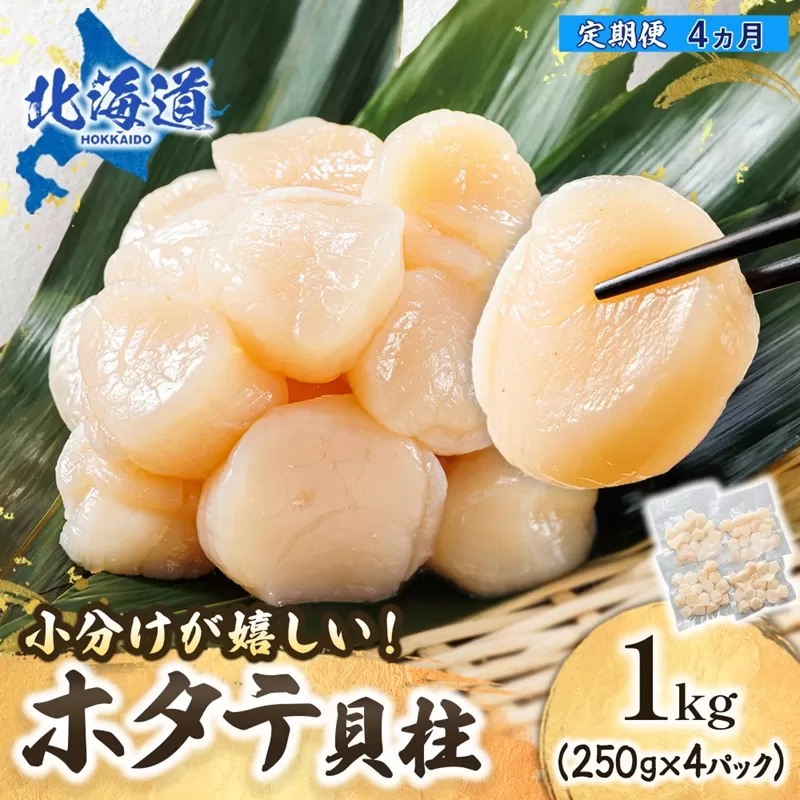 【定期便 4ケ月連続】北海道産 ホタテ貝柱 （約250g×4コ 計1kg） 帆立 ホタテ ほたて 貝柱 冷凍 刺身 刺し身 小分け ホタテ貝柱 刺身ホタテ 刺身 冷凍 セット 産地直送 魚介類 海鮮 絶品 人気 ヒロセ 100000以上 定期便 4回 4か月 海鮮定期便 北海道 釧路町 釧路超 特産品 br04