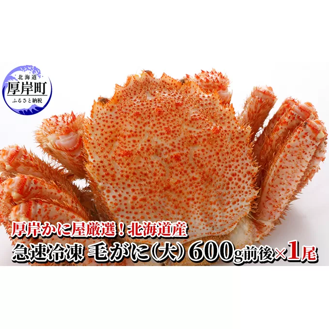 厚岸かに屋厳選！北海道産　急速冷凍 毛がに（大）600g前後×1尾　 毛カニ 蟹 