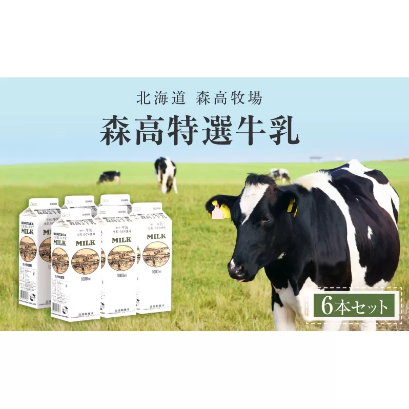 森高特選 牛乳 6本 セット (1本あたり１L×6本,合計６L) 北海道 牛乳 ミルク