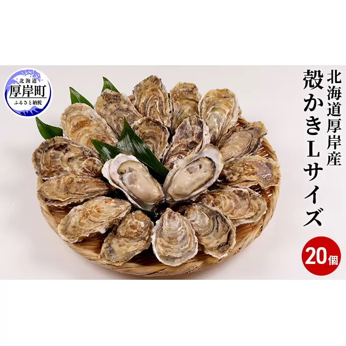 厚岸産　殻かき L20個セット 北海道 牡蠣 カキ かき 生食 生食用 生牡蠣