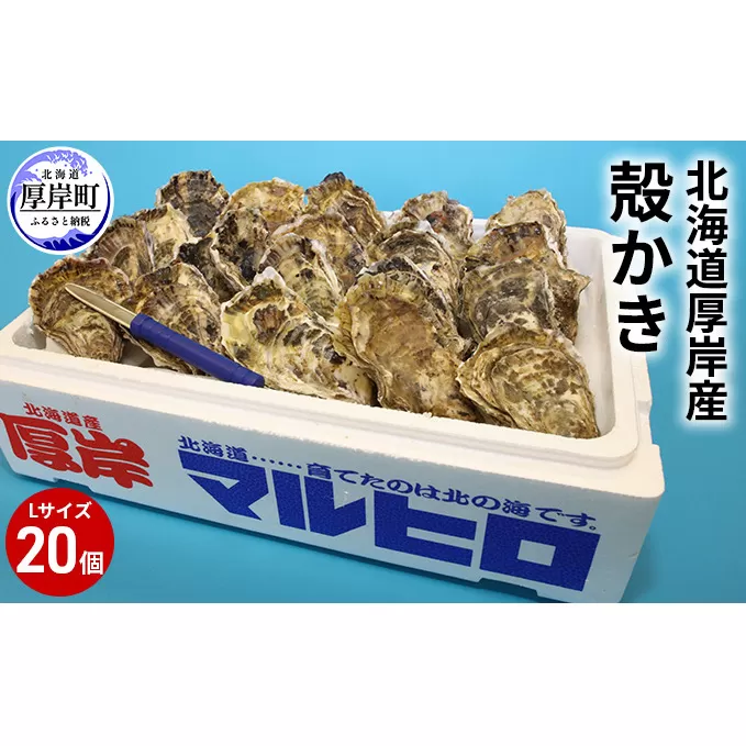 厚岸産 殻かき L20個セット 北海道 牡蠣 カキ かき  生牡蠣 殻付 魚貝類 マルえもん
