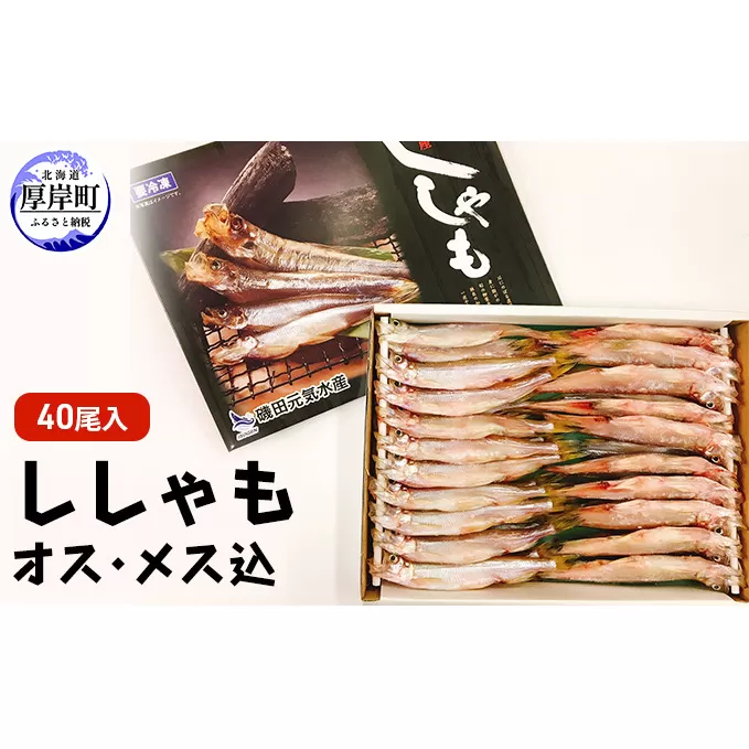 干し ししゃも オス・メス込 40尾入 (オス20尾,メス20尾,合計40尾入り) 魚貝類 