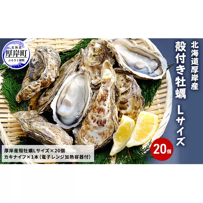 厚岸産 殻付き牡蠣Ｌサイズ20個入(加熱容器付)北海道 牡蠣 カキ かき 生食 生食用 ミルク レンジ