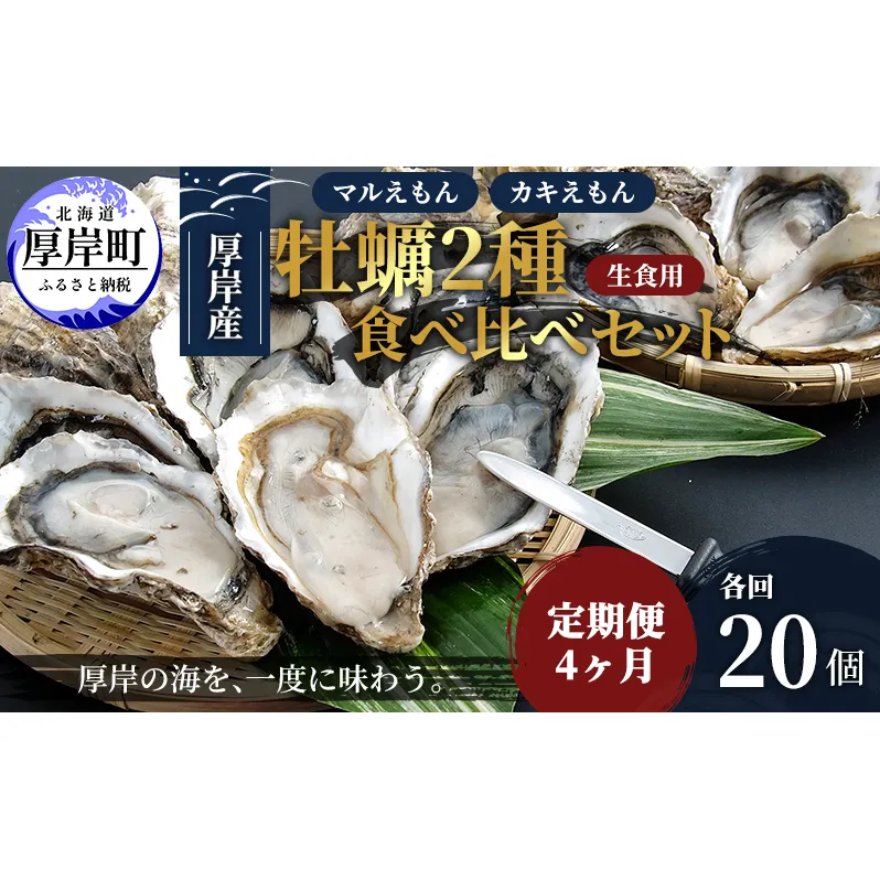 4か月 定期便 北海道 厚岸産 殻付牡蠣の食べ比べセット！（生食用）  牡蠣 カキ かき 生食 生食用 生牡蠣  食べ比べ 魚貝類