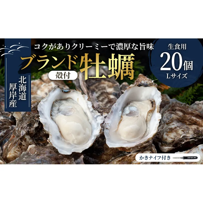 厚岸産　殻付カキLサイズ20個（生食用） 魚貝類 生牡蠣 かき 牡蠣 マルえもん メルマガ掲載商品2