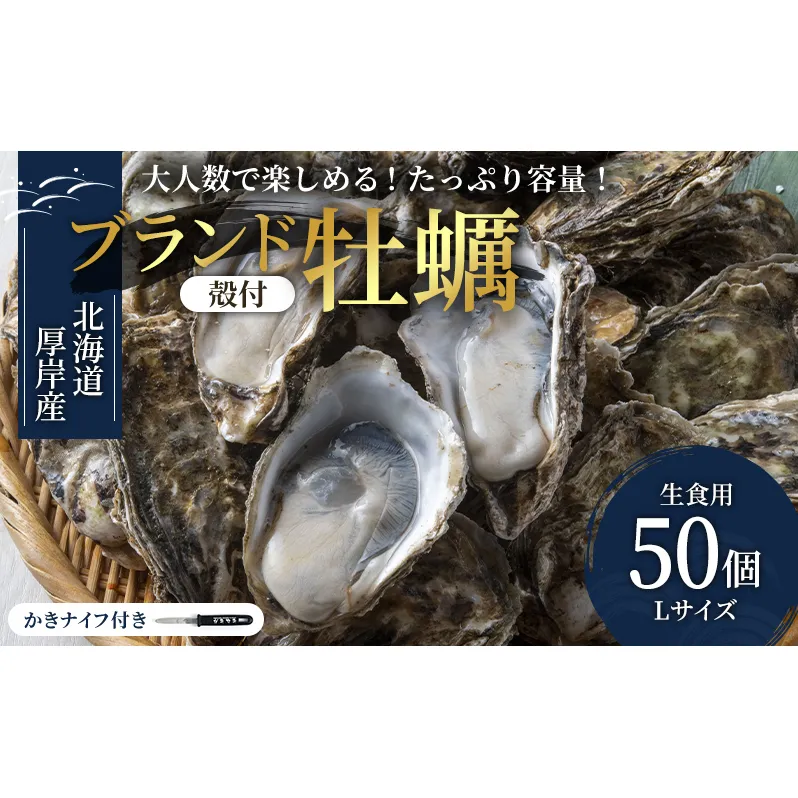 パーティー用 北海道 厚岸産牡蠣 Lサイズ50個入（目安：10人前） ふるさと納税 北海道 牡蠣 カキ かき 生食 生食用 生牡蠣 パーティー ミルク 魚貝類 殻付き牡蠣 シーフード マルえもん