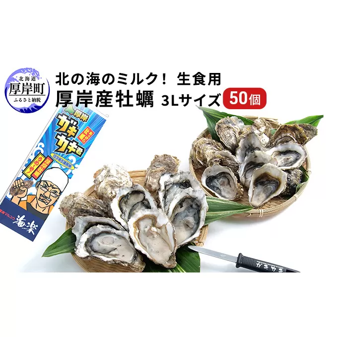 北の海のミルク！ 厚岸産 牡蠣 3Lサイズが50個！ 生食用 生牡蠣 貝付き牡蠣 貝 海鮮 魚介類 殻付き牡蠣 マルえもん メルマガ掲載商品3 