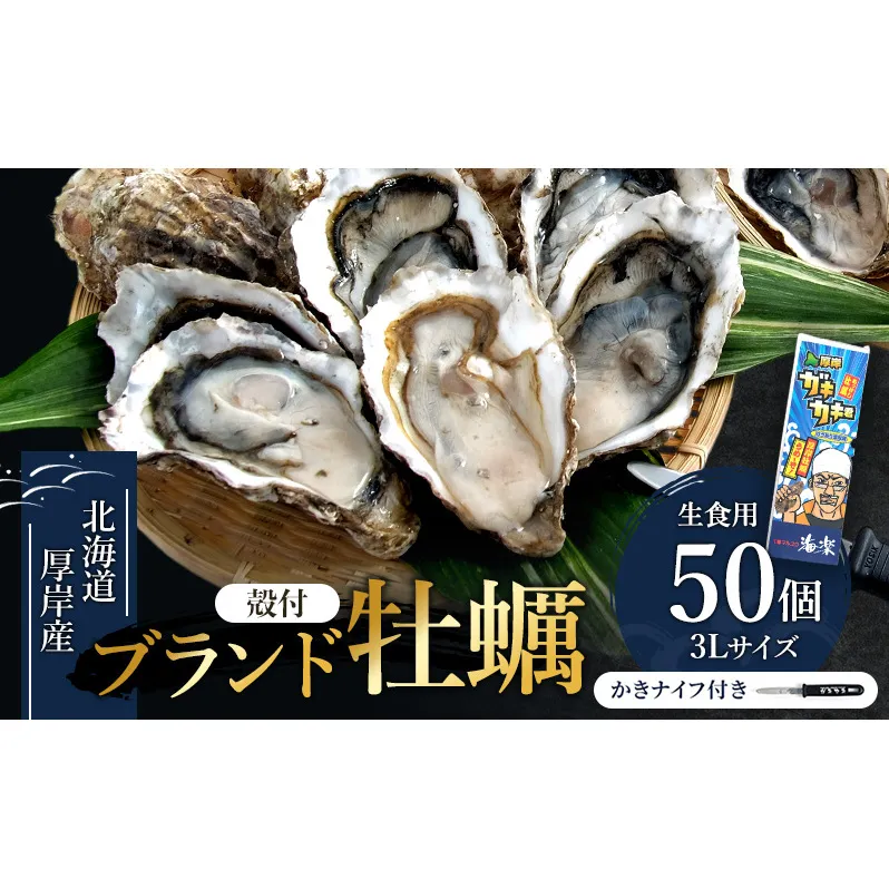 北の海のミルク！ 厚岸産 牡蠣 3Lサイズが50個！ 生食用 生牡蠣 貝付き牡蠣 貝 海鮮 魚介類 殻付き牡蠣 マルえもん メルマガ掲載商品3