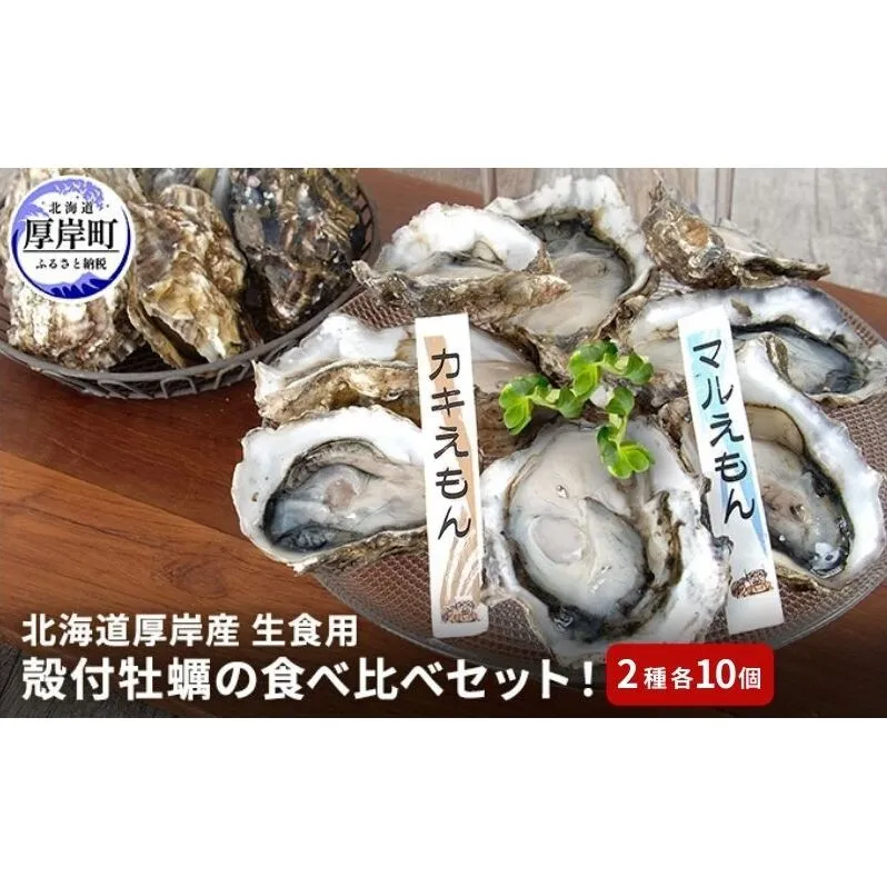 北海道 厚岸産 殻付牡蠣の食べ比べセット！（生食用）  牡蠣 カキ かき 生食 生食用 生牡蠣  食べ比べ 魚貝類 