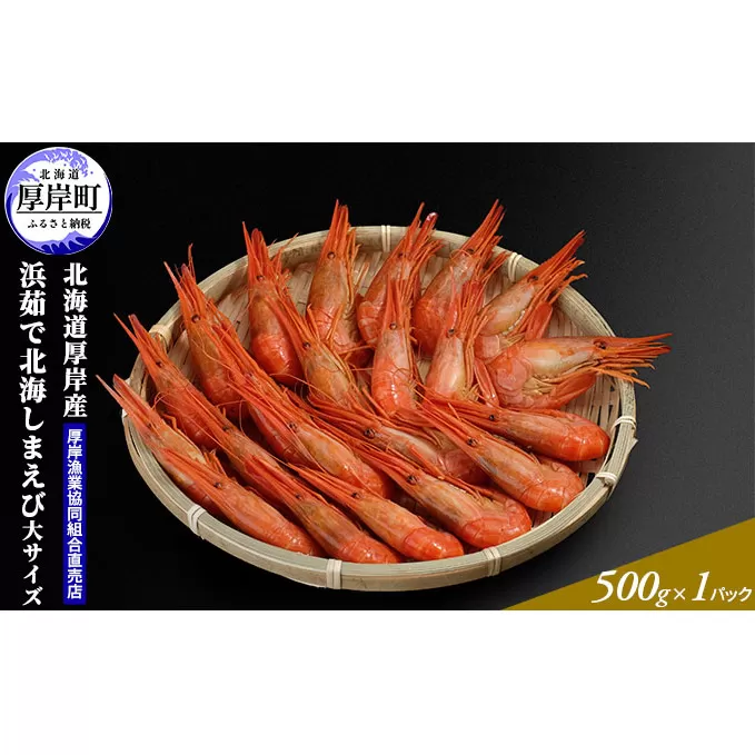 季節限定 北海道 厚岸産 浜茹で 北海しまえび（大サイズ）500g×1パック 海老 エビ 新鮮 浜ゆで おつまみ 味噌汁 