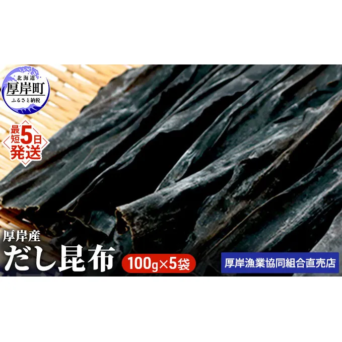 【とっても便利】 厚岸産 だし昆布 100g×5袋 (合計500g) 魚貝類 こんぶ 