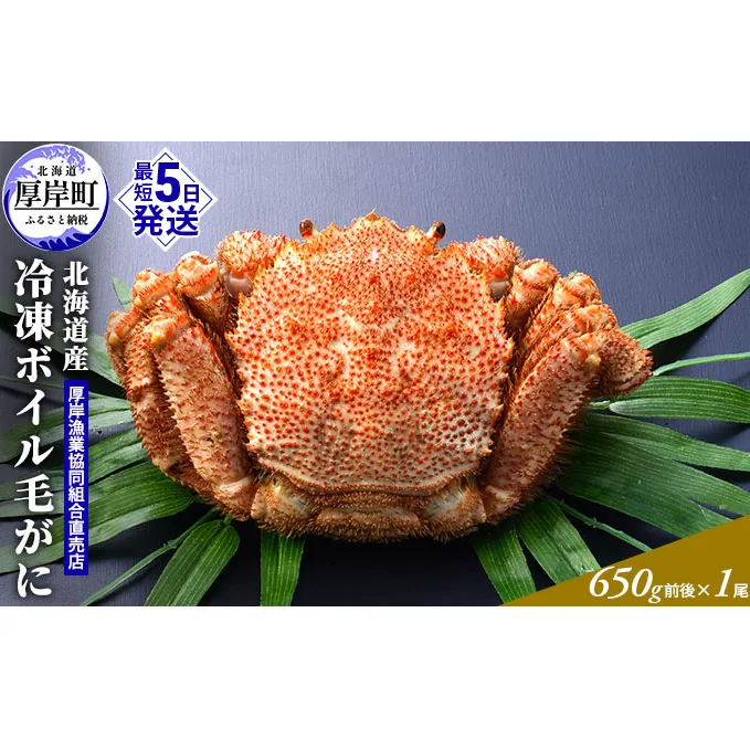【3D冷凍】北海道産 冷凍ボイル毛がに 650g前後×1尾 毛カニ 蟹 毛ガニ カニ かに 